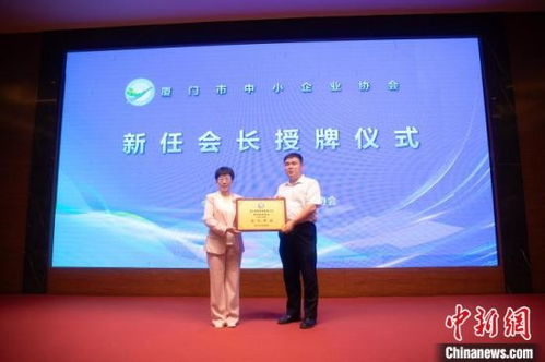 精準畫像助力，廈門中小企業借力網站建設駛入發展快車道